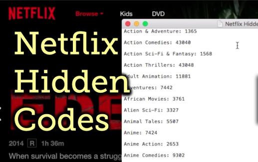 Netflix secret codes  rcoolguides